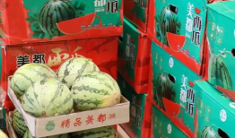 河津吃瓜最新事件爆料,揭秘背后惊人真相！